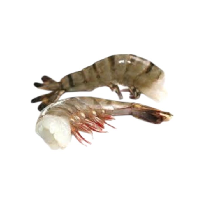 8/12 BT GARNELEN OHNE/ MIT HLSO IQF 10*750 G SEA LOTUS