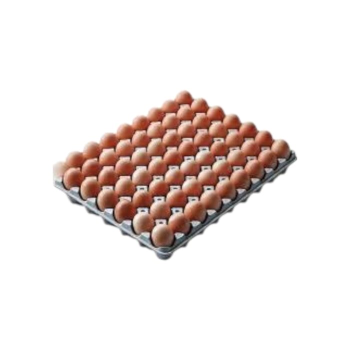 EIER 180 STÜCK GRÖSSE M